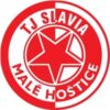 TJ Malé Hoštice